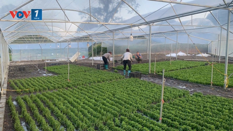 Phát triển kinh tế hợp tác xã là động lực cải thiện sinh kế người dân (04/12/2025)