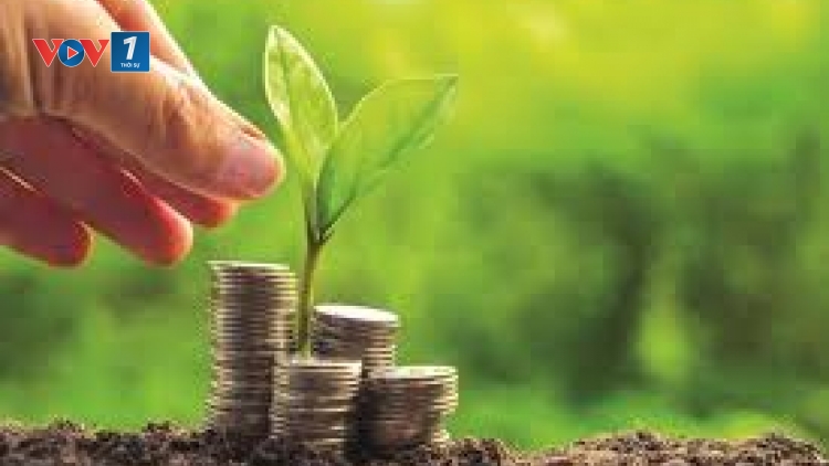 Doanh nghiệp nhỏ và vừa – khó khăn trong thực hiện chuyển đổi xanh