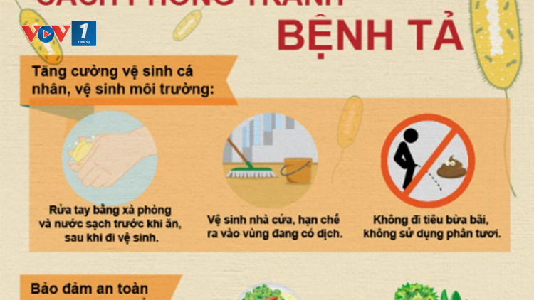 Phòng ngừa, điều trị bệnh tả ở người