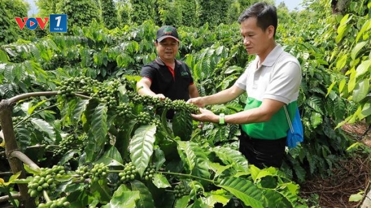 Công nghệ số tiếp sức giảm nghèo ở xã Đắk Phơi, Đắk Lắk