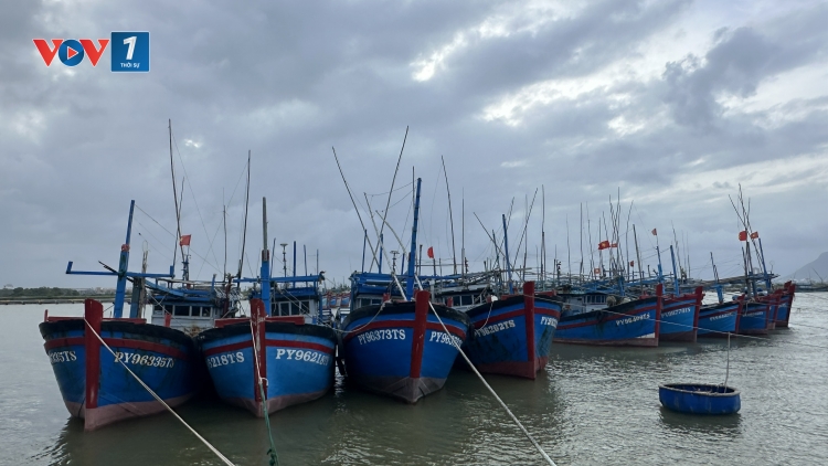 Bão tan, lũ rút, ngư dân Đắk Lắk ra khơi vụ cá Bắc