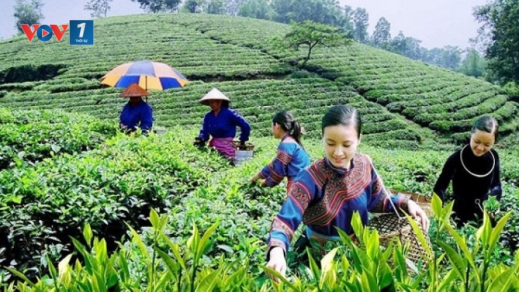 Nông nghiệp bền vững từ tư duy liên kết (26/01/2026)