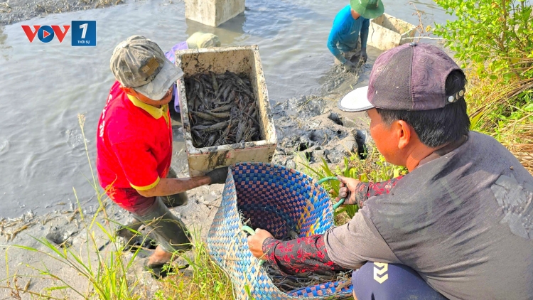 Khi sản xuất xanh tạo nên làng quê hạnh phúc