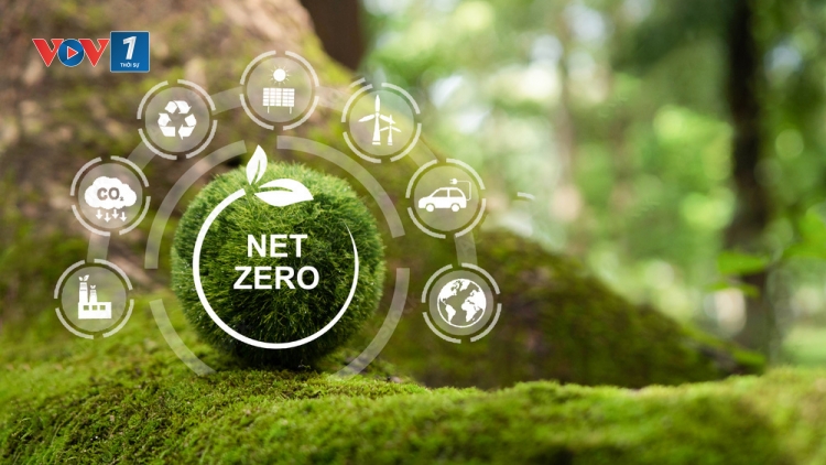 Doanh nghiệp Việt chuyển từ cam kết sang hành động thực hiện lộ trình Net Zero 2050