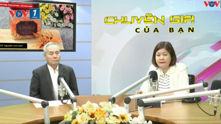Đông trùng hạ thảo- món quà Tết tặng người thân
