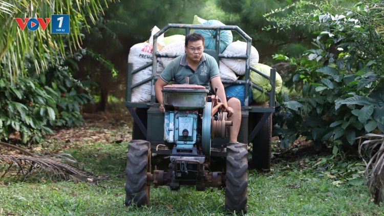 Cà phê - hạt gieo hạnh phúc