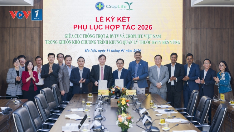 Tăng cường hợp tác thúc đẩy quản lý thuốc bảo vệ thực vật bền vững