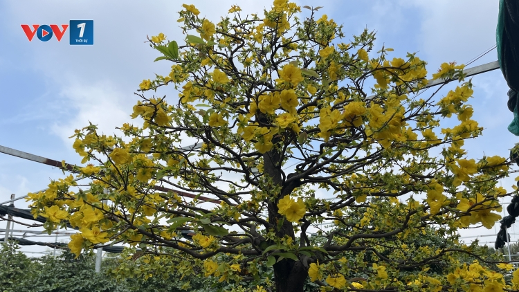 Theo dòng thời sự chiều 23/1/2026