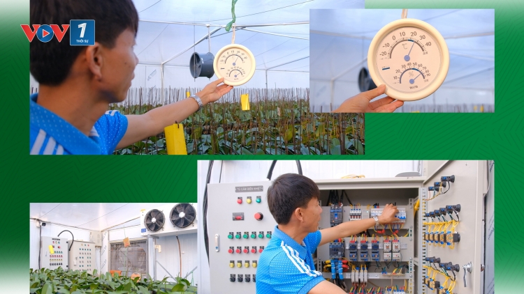Thái Nguyên: Số hóa quy trình sản xuất nông nghiệp