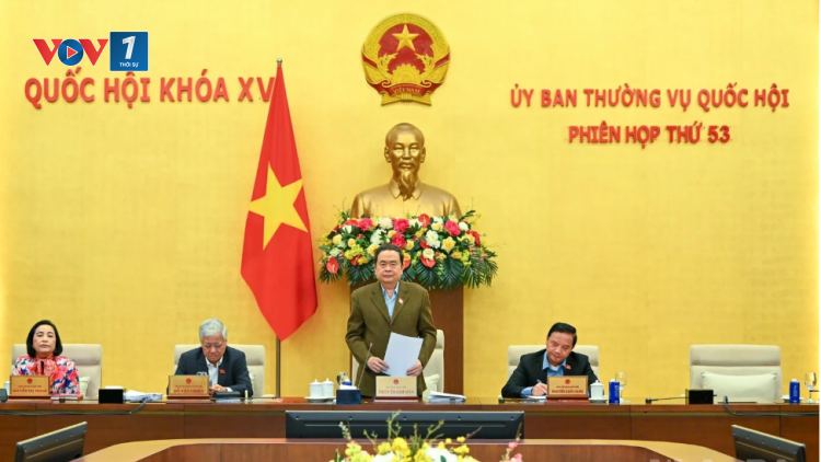 Bản tin 9h 12/1/2026