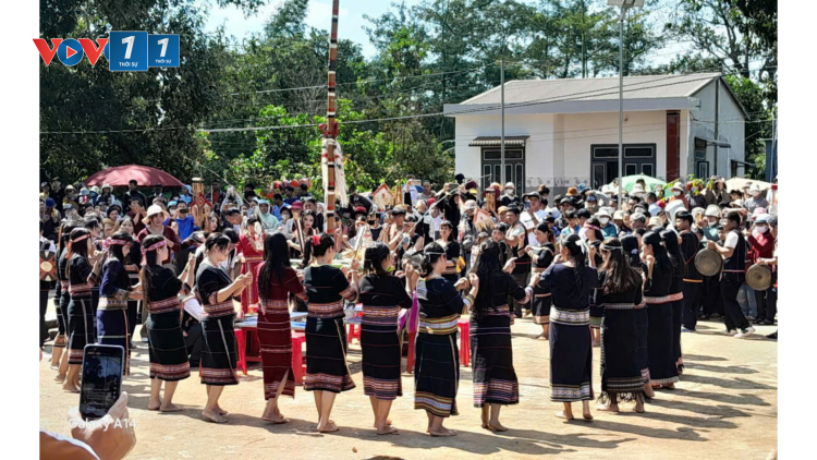 Hương lúa mới trên cao nguyên Đắk Lắk