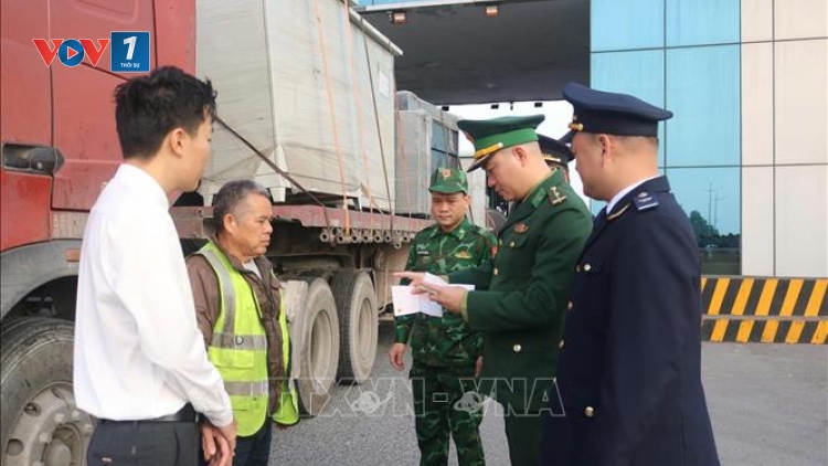 Bản tin 15h 1/1/2026