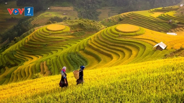 Bản tin 9h 9/2/2026