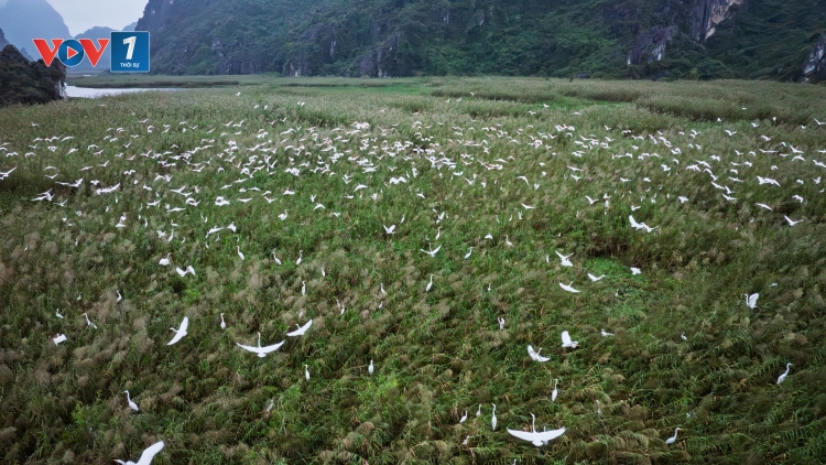 Đức hỗ trợ Việt Nam thúc đẩy quản lý tổng hợp các khu bảo tồn 