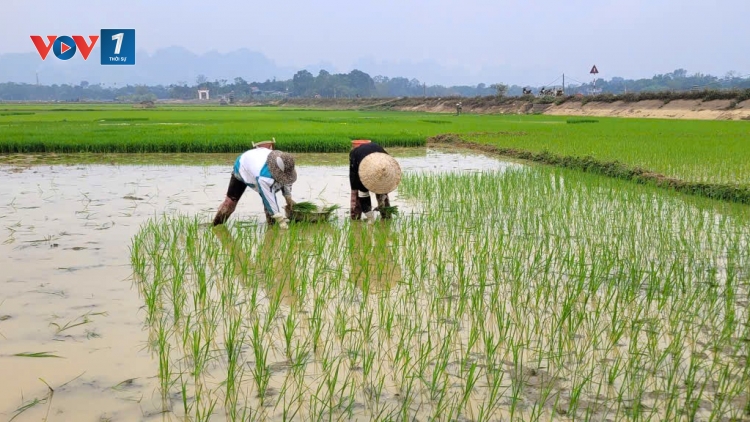 Khởi sắc Xuân mới – Rộn ràng nhịp sản xuất (20/2 Mùng 4 Tết)