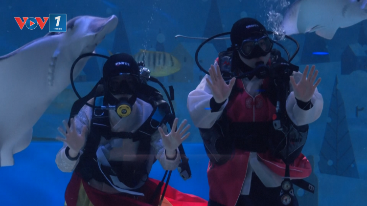 Thợ lặn Hàn Quốc mặc hanbok chúc Tết Nguyên đán dưới nước tại thủy cung COEX Aquarium