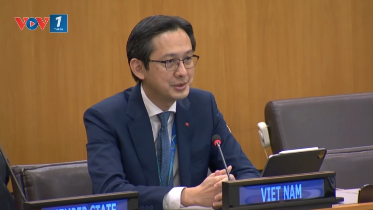 Việt Nam đánh giá cao vai trò của UNDP trong hợp tác vì phát triển bền vững