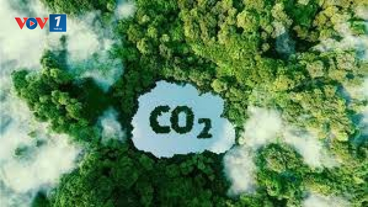 Xây dựng cơ sở dữ liệu carbon xanh quốc gia định hướng giảm phát thải đến 2035