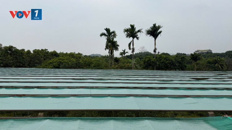 Theo dòng thời sự sáng 4/2/2026