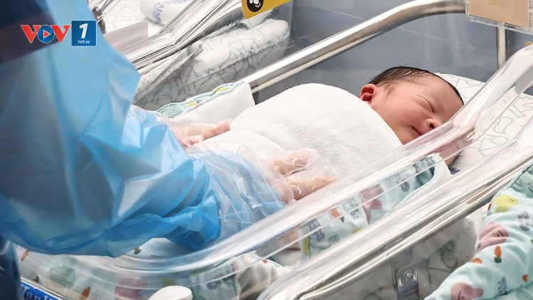 Dân số Hàn Quốc tiếp tục giảm tự nhiên nhanh chóng