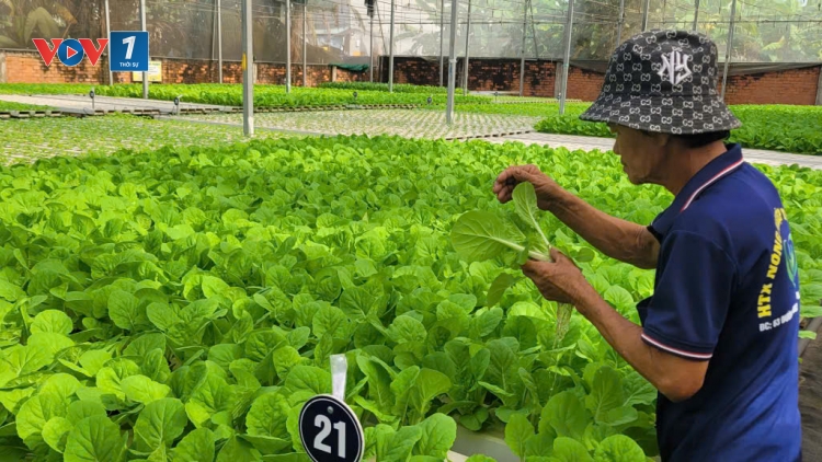 Nông nghiệp xanh con đường tất yếu để phát triển bền vững