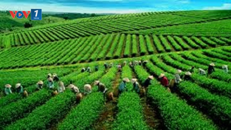 Thái Nguyên: Chương trình OCOP lan tỏa giá trị nông sản (30/03/2026)