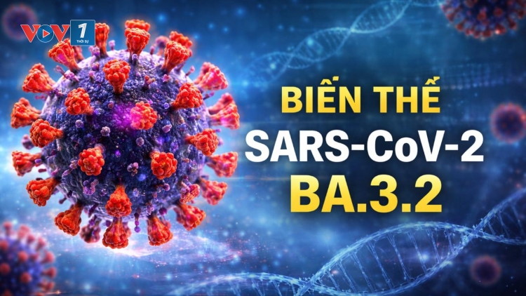 Bản tin 15h 31/3/2026