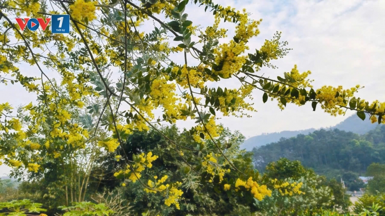 Chuyển đổi xanh - từ thách thức đến cơ hội (08/03/2026)