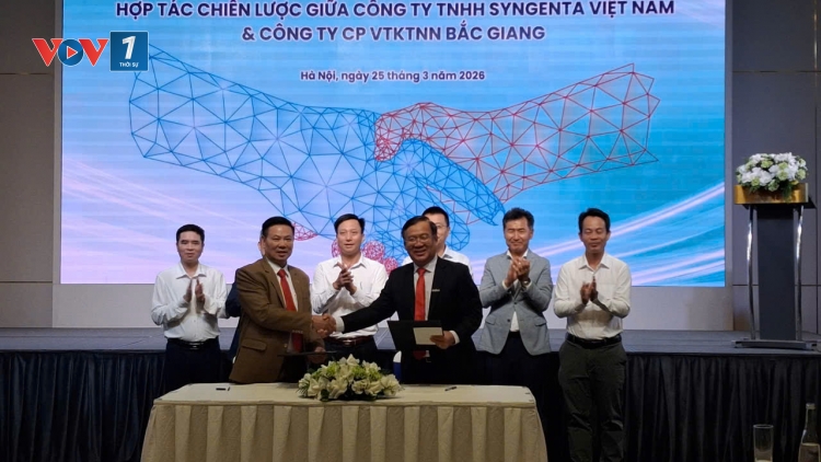 BMT và Syngenta: Hợp tác vì lợi ích của nông dân Việt nam