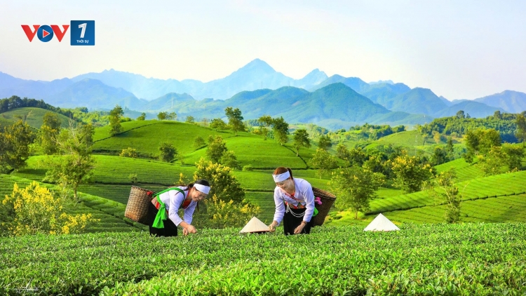 Phú Thọ: Đánh thức tiềm năng du lịch nông nghiệp gắn với di sản 