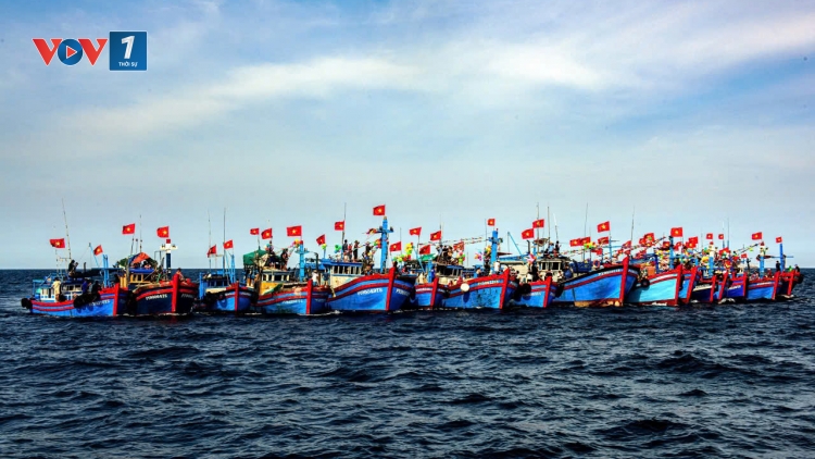 Việt Nam nỗ lực vì một nghề cá bền vững và uy tín quốc gia