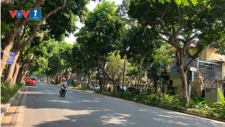 Thời tiết 13/3/2026: Miền Bắc nắng ráo trở lại, miền Trung đón mưa lớn diện rộng
