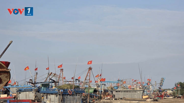 Thanh Hóa: Những lá phiếu từ biển khơi