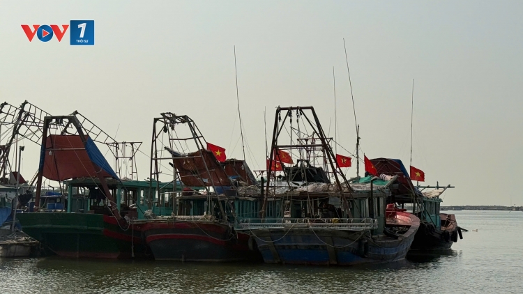 Quảng Ninh: Siết chặt quản lý, không để phát sinh vi phạm khai thác IUU
