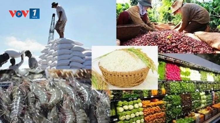 Hai lần tạm ngưng Nghị định 46: Bài toán quản lý an toàn thực phẩm và năng lực kiến tạo thể chế