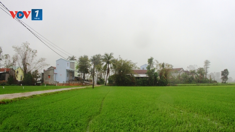 Xuân từ triệu tấm lòng