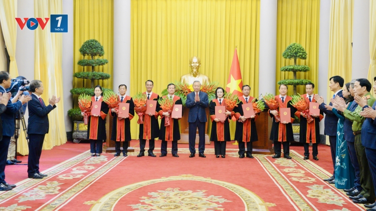 Tổng Bí thư, Chủ tịch nước Tô Lâm: Không vì bất kỳ lý do gì mà dung túng sai phạm