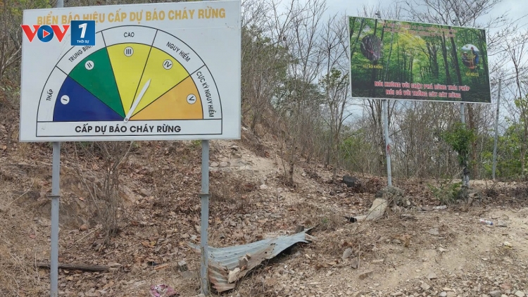 Lâm Đồng chủ động giữ rừng trong cao điểm mùa khô