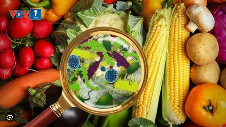 Phòng ngừa nguy cơ ngộ độc thực phẩm trong mùa nắng nóng và dịp lễ hội