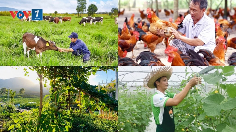 Ứng dụng công nghệ số: Hướng phát triển nông nghiệp bền vững