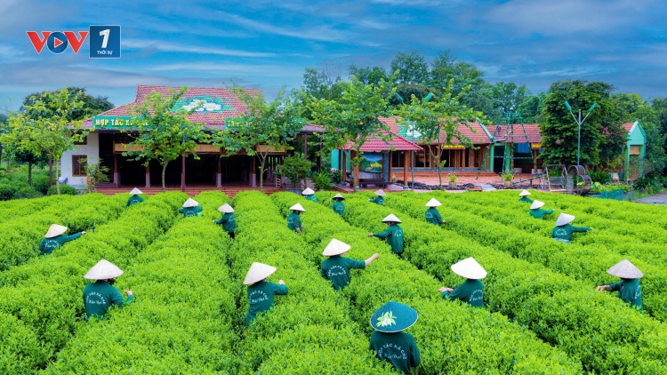 Du lịch Thái Nguyên khởi sắc từ đầu năm