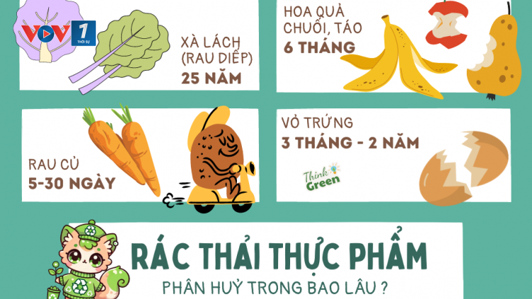 Theo dòng thời sự sáng 11/4/2026