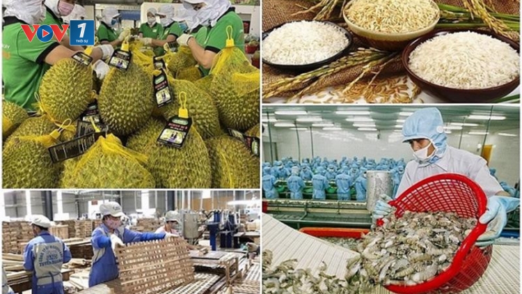 Chủ động xoay trục, nông nghiệp giữ vững đà xuất khẩu