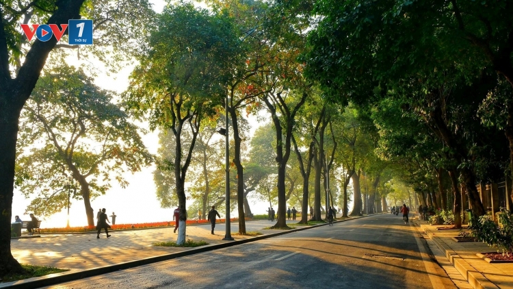 Dự báo thời tiết 3/4/2026: Bắc Bộ sáng sớm xuất hiện sương mù rải rác, ban ngày trời nắng