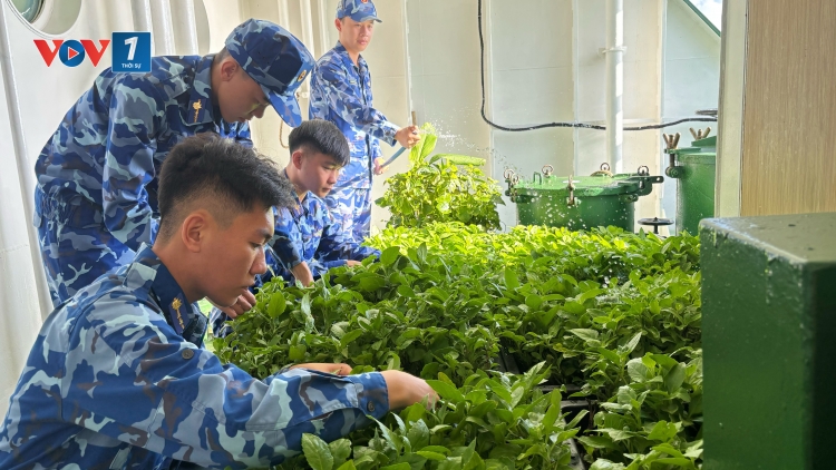 Những “mầm xanh” trên boong tàu cảnh sát biển