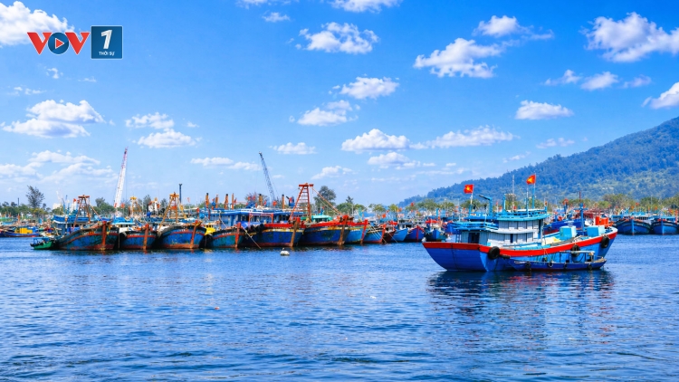 Đà Nẵng lập hàng rào số chống khai thác thủy sản bất hợp pháp