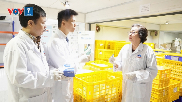 Xuất khẩu hơn 1 triệu liều vắc-xin viêm da nổi cục trên trâu, bò sang Hàn Quốc