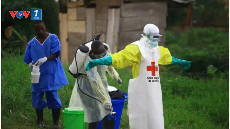 Báo động dịch Ebola ở Uganda, Cônggo