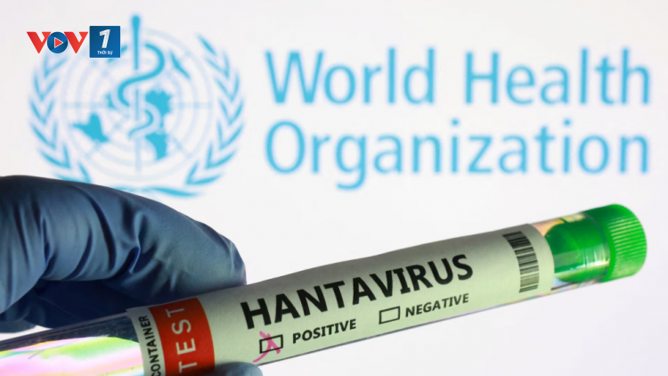 Pháp ban hành sắc lệnh cách ly 42 ngày đối với hành khách từ tàu MV Hondius do lo ngại hantavirus