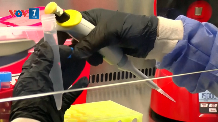 Argentina đối mặt với đợt bùng phát virus Hanta nghiêm trọng